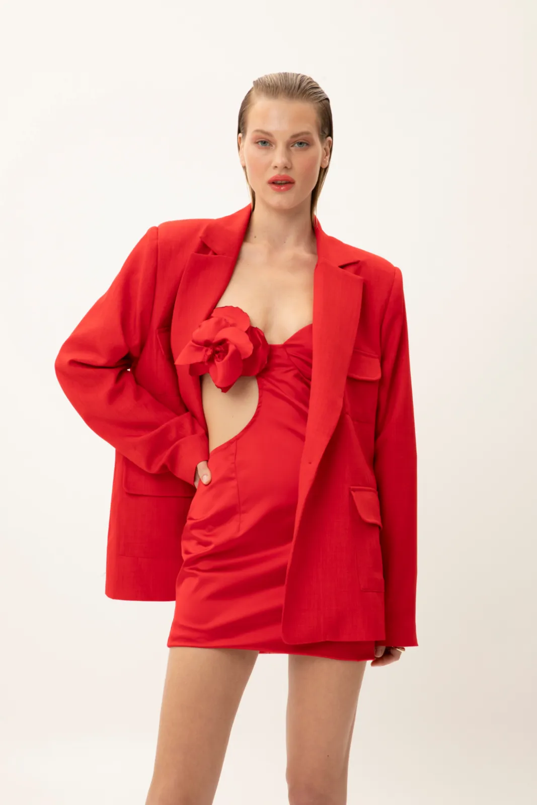 Picture of Scarlet Temptress Mini Dress