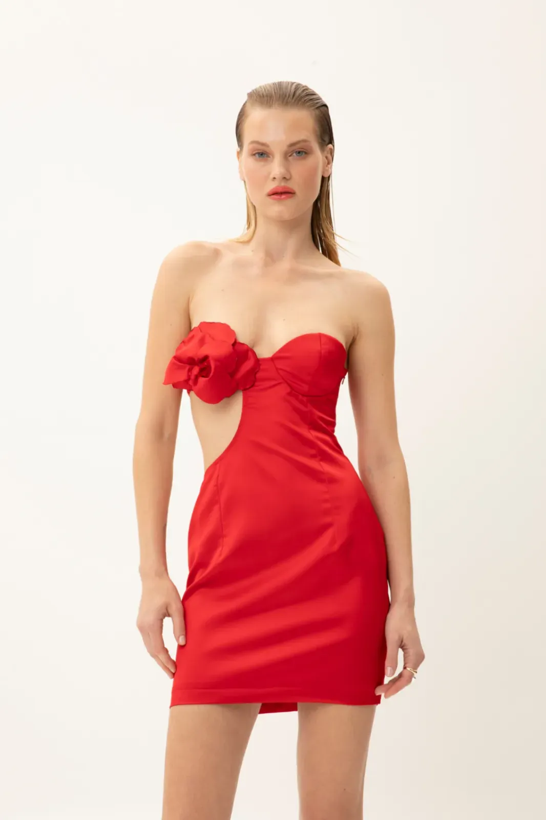 Picture of Scarlet Temptress Mini Dress