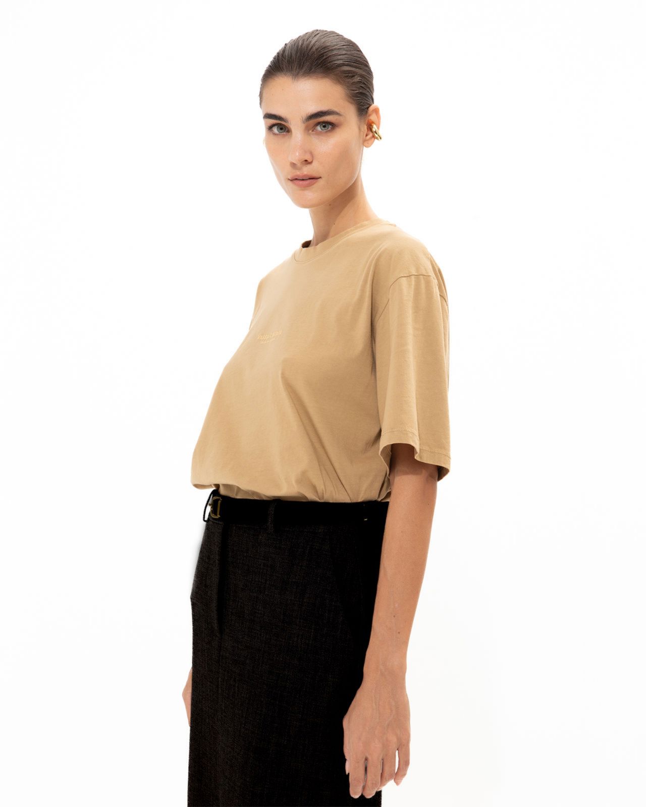 Picture of Camel T-shirt